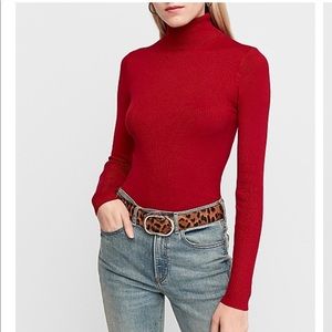 Express ribbed sweater